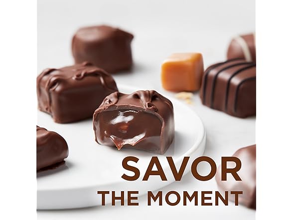 Russell Stover Milk Choc Assortment 9.4o