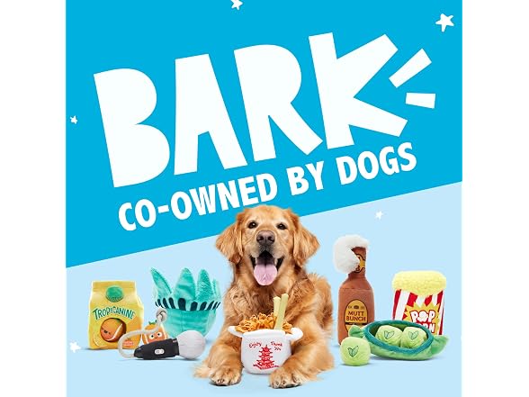 Barkbox Regal the Eagle Dog Toy | Plush
