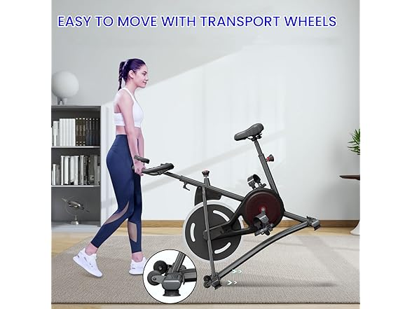 NAYSAYE Exercise Bike