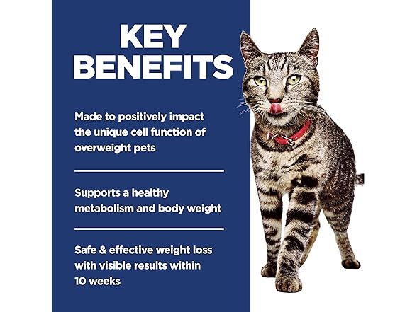 Hill's Science Diet Adult Perfect Weight Cat Food 15 lb.