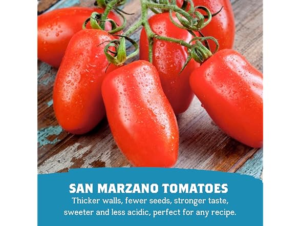 Cento | Certified San Marzano 28 Oz