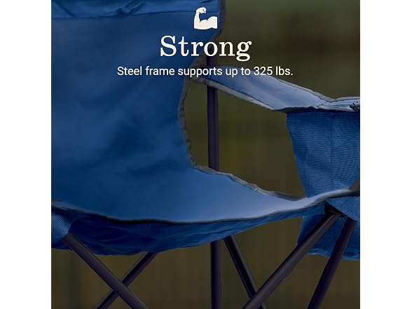 Coleman Portable Camping Chair 4-Can Cooler