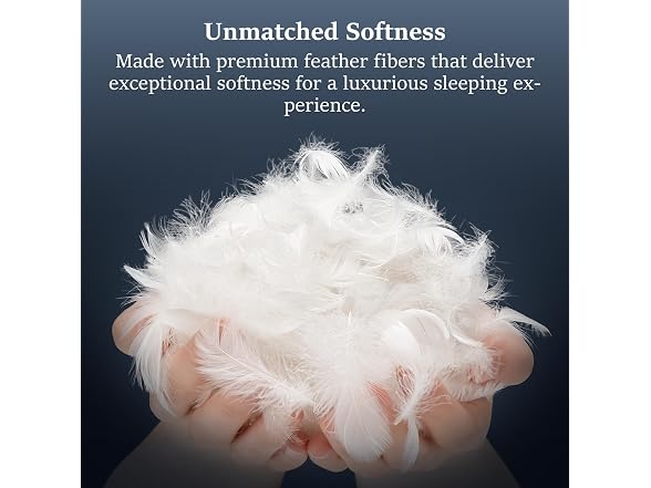 COZSINOOR Goose Down Feather Pillows