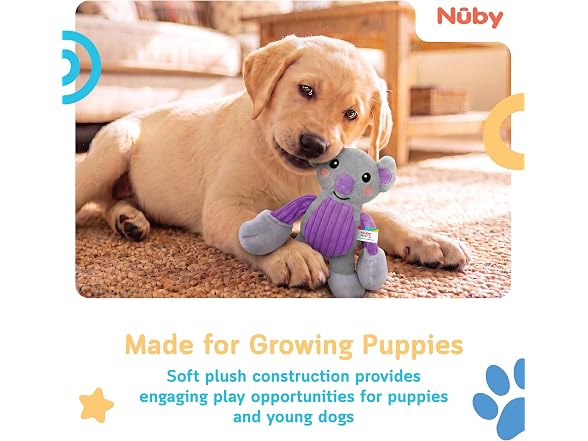 Nuby Nuby Pull & Tug Dog Toy Interactive