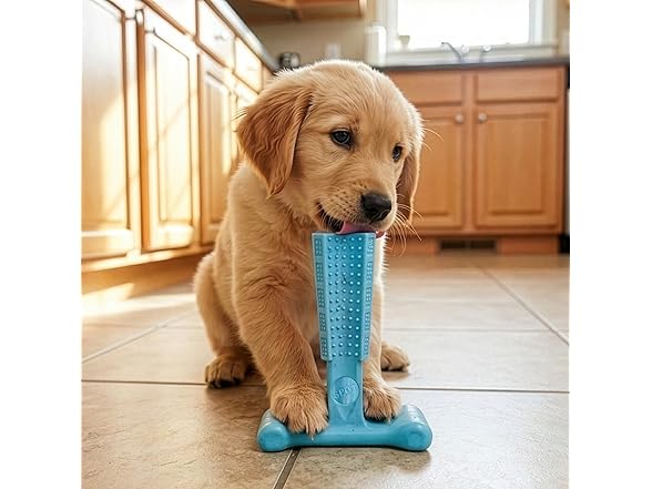 SPOT Bam-Bones Puppy T-Bone Dog Chew Toys, 2PK Blue