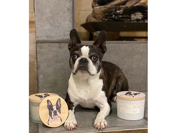 Sand + Paws Scented Candle - White Vanilla