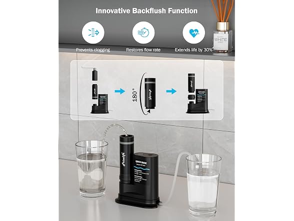 Frizzlife Electric Camping Water Filter