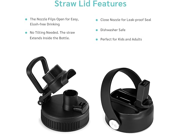 MEISON Insulated Water Bottle With Straw