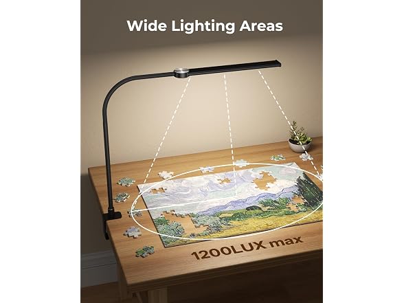 LED Desk Lamp with Clamp for Home Office