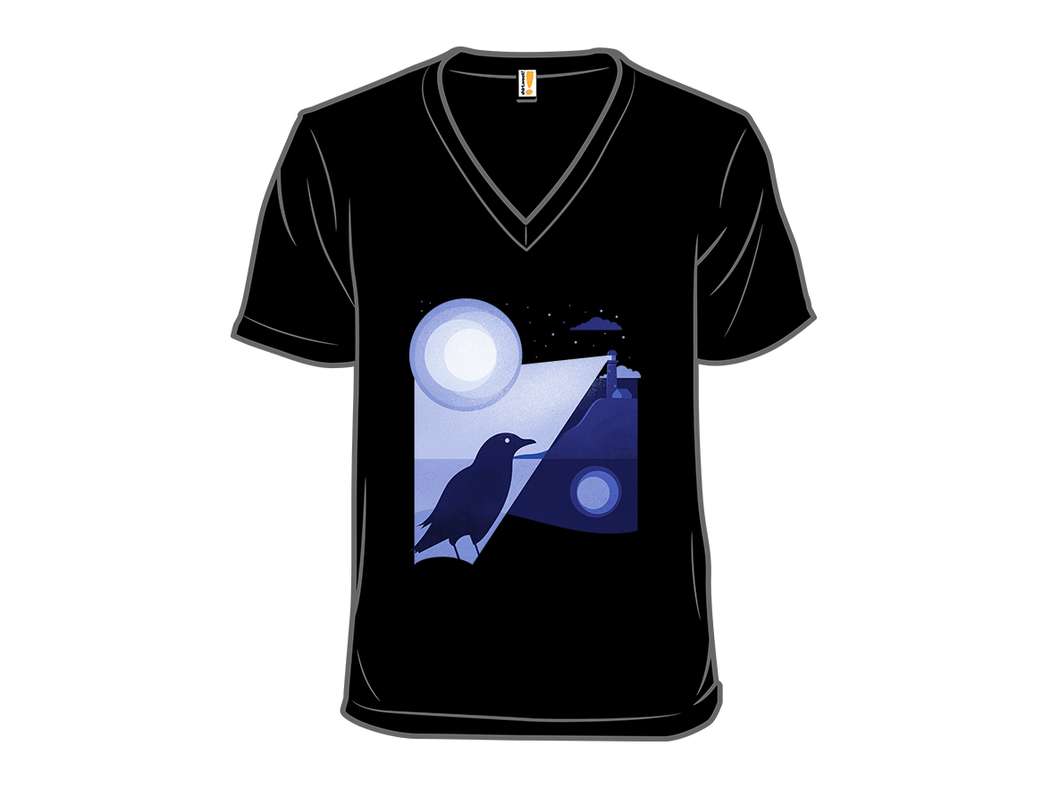 Bird Illuminated By The Lighthouse - Gallery 10