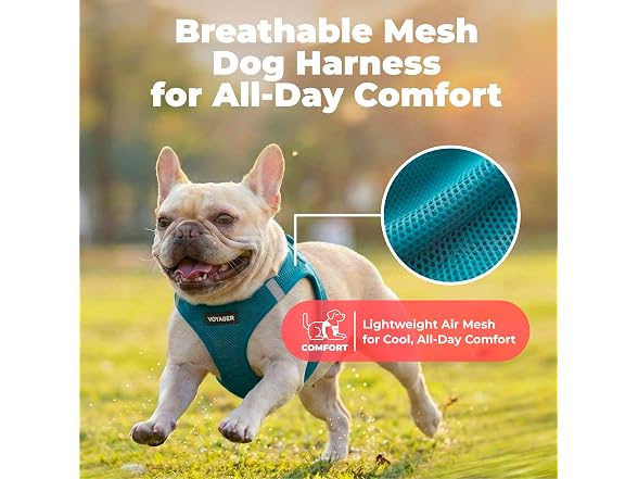 Voyager Step-in Air Dog Vest Harness Turquoi