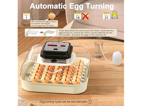 CoInceptus 35 Eggs Incubators