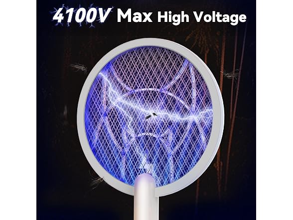 4100V Electric Fly Swatter, 2 Pack