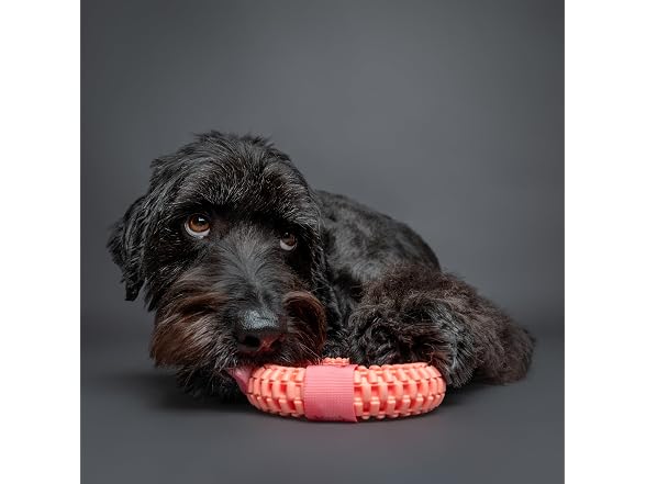 NOAH & PAW Luxury Dog Toy, TPU- Ring, Pink