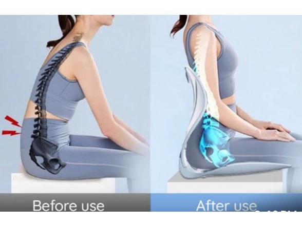 Evertone Posture Support Seat Cushion