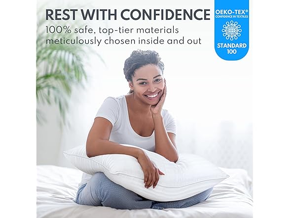 HEYCUZI Queen Down Alternative Bed Pillows