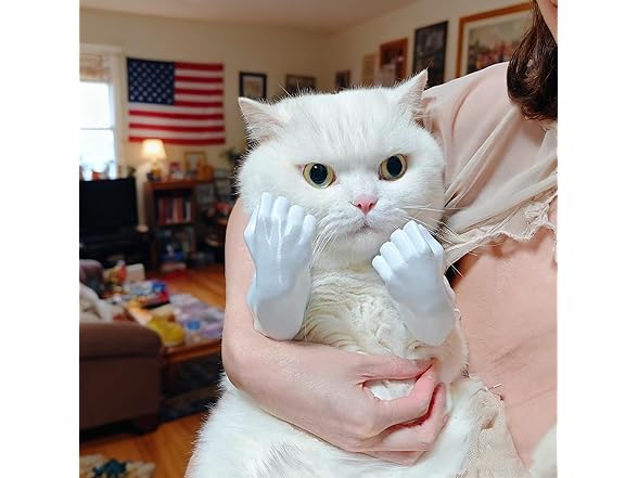 HEYPOMAX Cat Boxing Arms