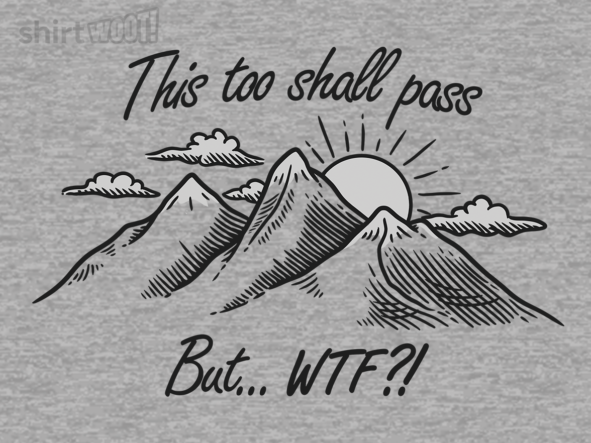 This Too Shall Pass but WTF?! - Gallery 9