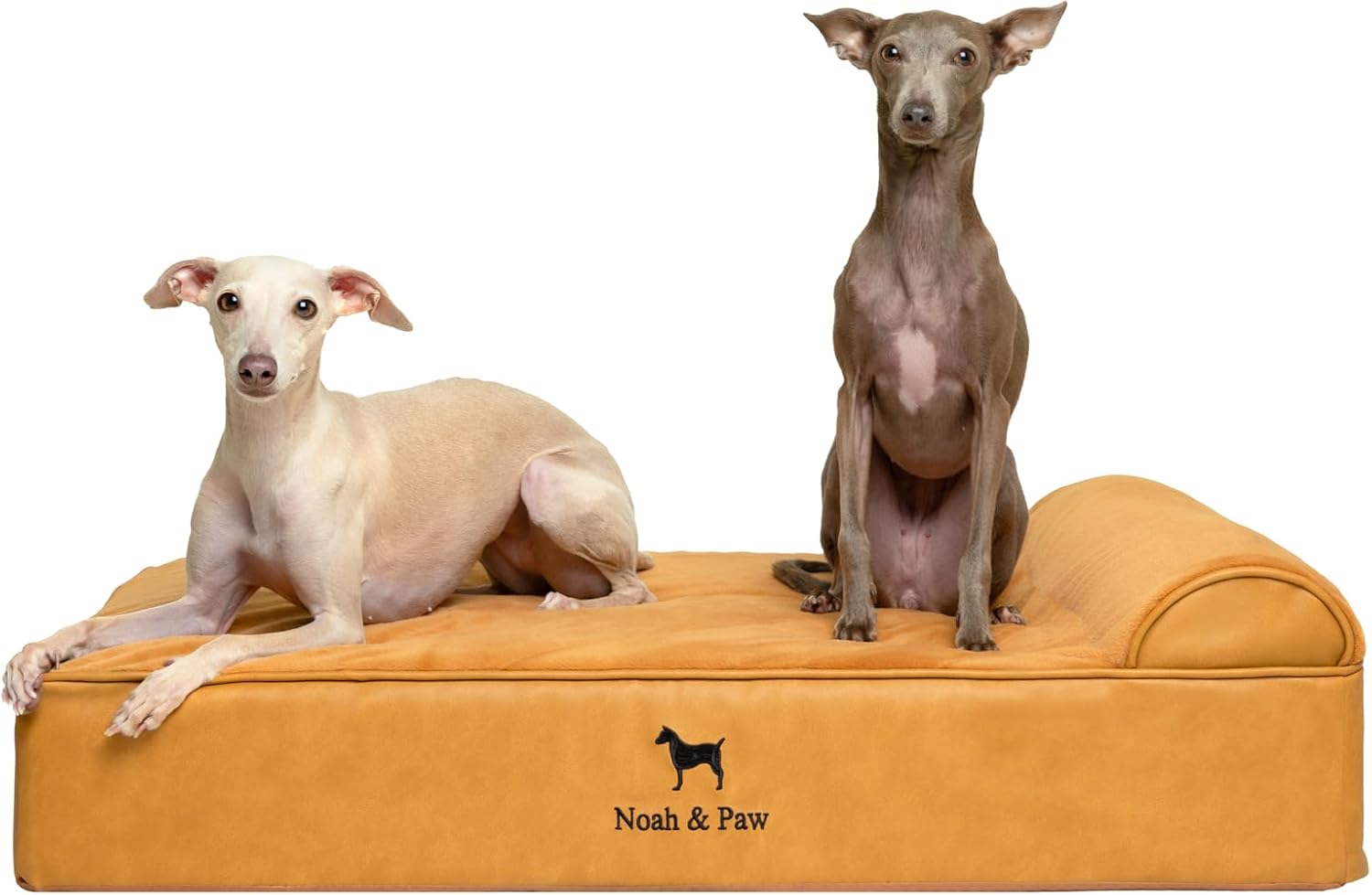 NOAH & PAW Orthopedic Dog Beds- Large - Gallery 10