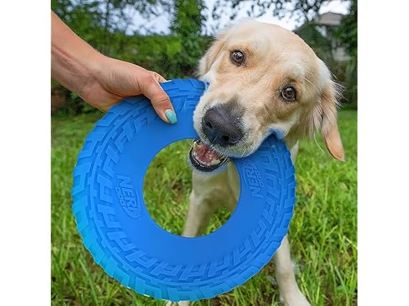 Nerf Dog Tire Flyer Outdoor Dog Toy