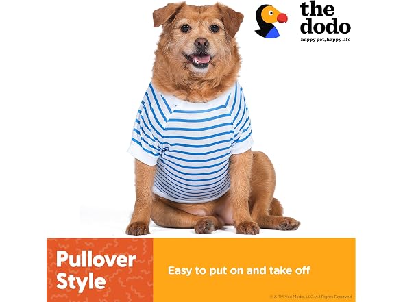 Dodo Extra Small Dog T-Shirt: Blue & White Striped, XS