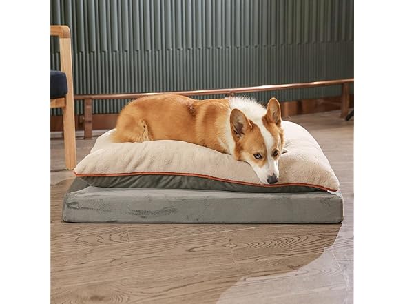 Amazon Basics Dog Bed with Cooling Gel Memory Foam