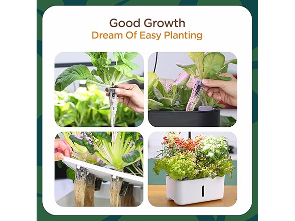 Hapxalie Grow Sponges for Hydroponics