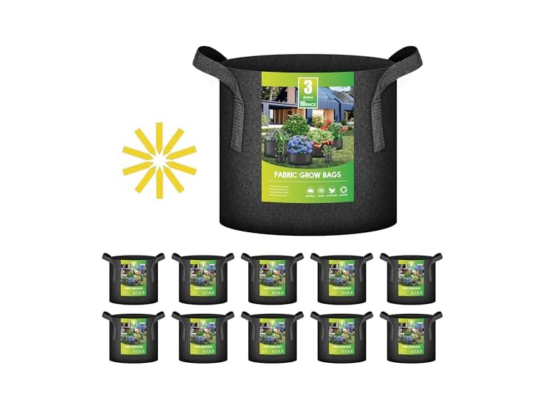 iPower 10-Pack 3 Gallon Plant Bags Heavy Duty Thickened Nonwoven Fabric Potato Growing Pot, Aeration Durable Container with Reinforced Strap Handles, Black