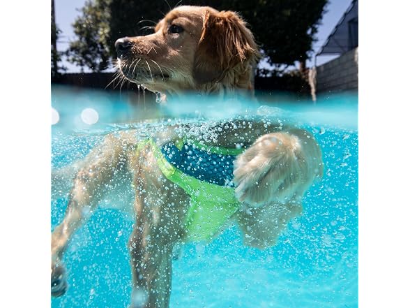 Outward Hound Standley Sport Green Lifejacket