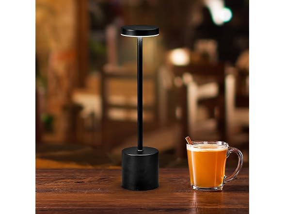 Elements 13-Inch Rechargeable LED Desk Lamp