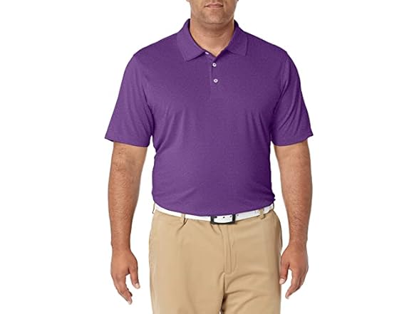 Purple Heather