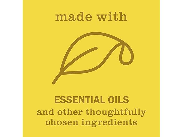 MRS. MEYER'S CLEAN DAY Liquid Hand Soap, Daisy, 12.5 OZ