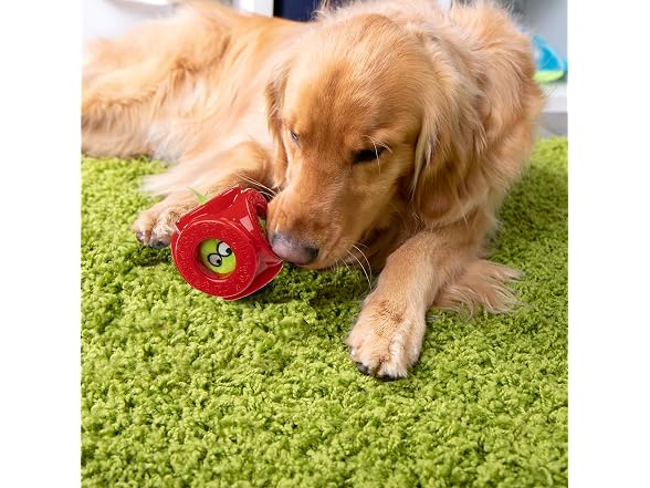 goDog Holiday Collection 2-in-1 Cage Ball Dog Toy