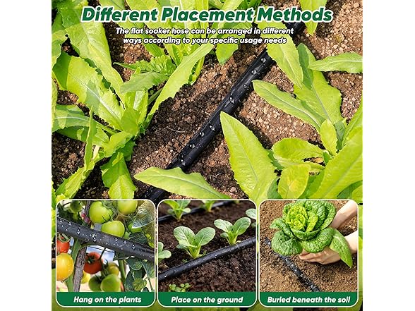 Garden Hose With Drip Irrigation System