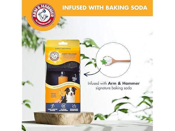 Arm & Hammer Deodorizing Slicker Brush for Dog