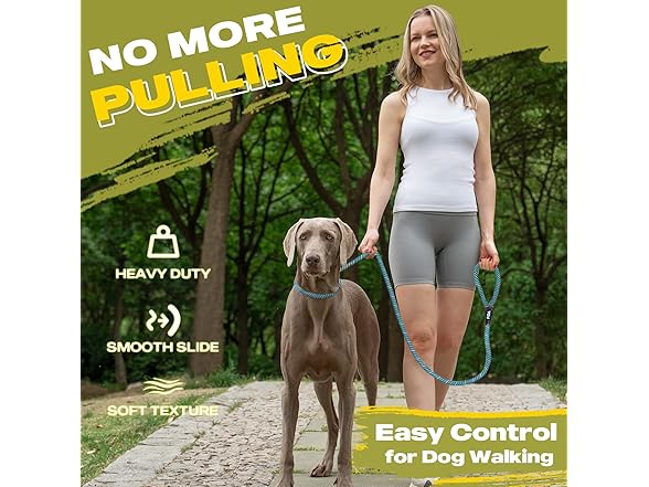 Fida Durable Slip Lead Dog Leash, 6 FT