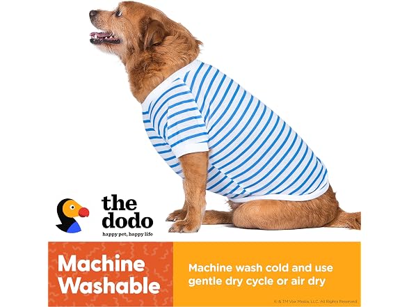 Dodo Extra Small Dog T-Shirt: Blue & White Striped, XS