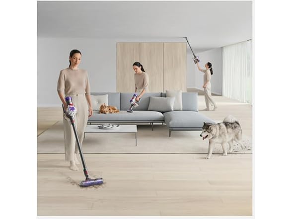 Dyson V8 Animal Extra Cordless Vacuum