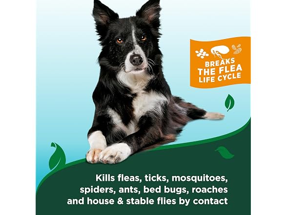 Vet's Best Flea & Tick Shampoo for Dogs, Pla