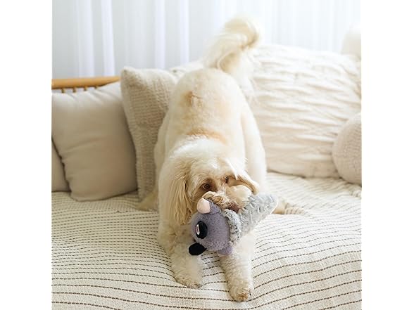 SPOT Woodsy Gnome Dog Toy