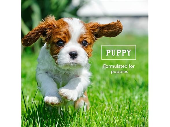 Wag Chicken & Veg Puppy Food 13oz (12pk)