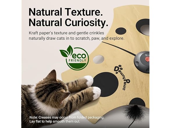 DownyPaws Interactive Cat Toy, 3 Modes