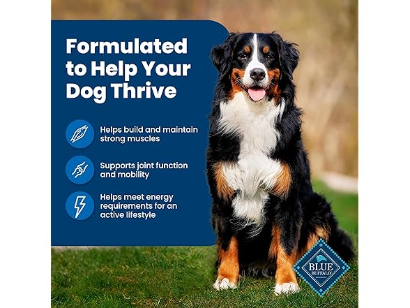 Blue Buffalo Life Protection Formula Adult Dog Food