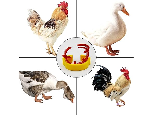 OTEHOO 1-100 Numbers Poultry Leg Bands