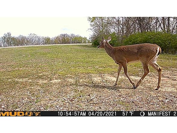 (3 PACK) Muddy Manifest 2.0 Cellular Trail Camera