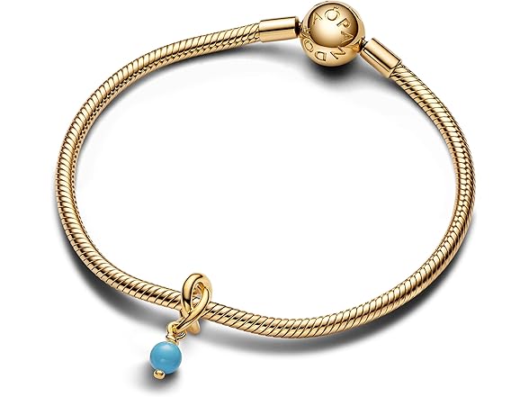 Pndora Moments Charm