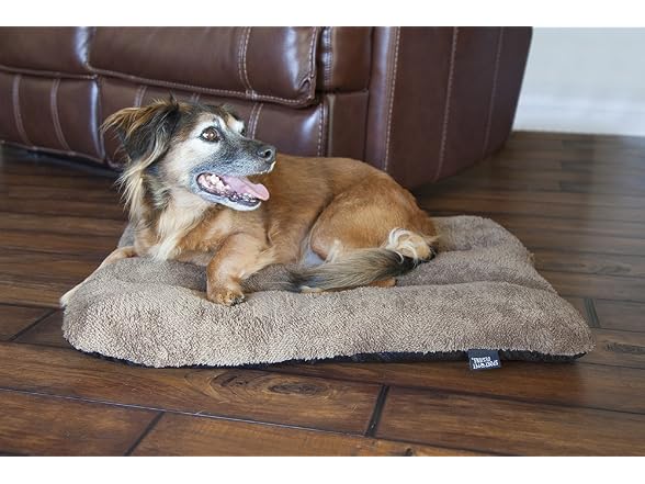 SportPet Designs Waterproof Pet Bed