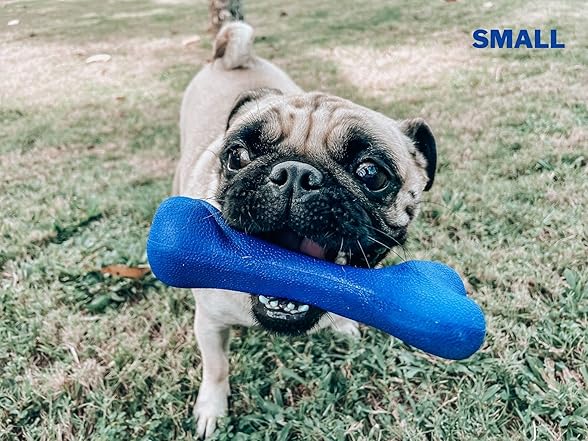 Durable Dog Chew Bone Toy 2-Pack Large