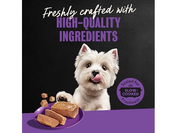 24CT Cesar Classic Loaf in Sauce Adult Wet Dog Food