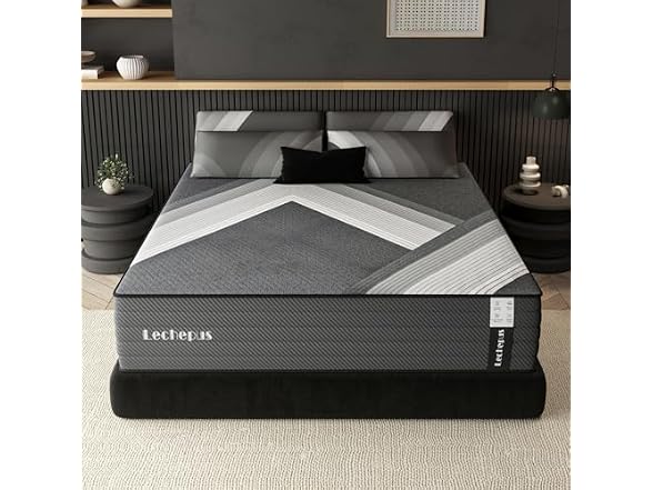 Lechepus 10Inch Queen Mattress in Box